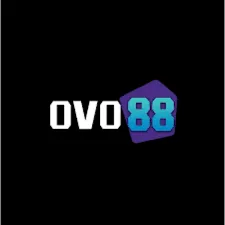 OVO88 - Game QiuQiu Seru dan Mengasyikkan
